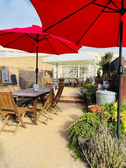 Jennings House garden tables beneath red umbrellas, surrounded by plants